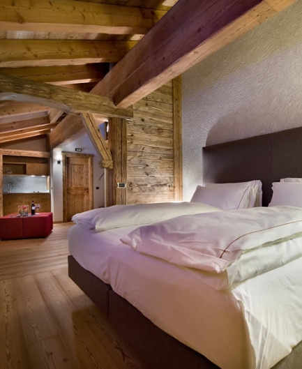 Alpen Hotel 1