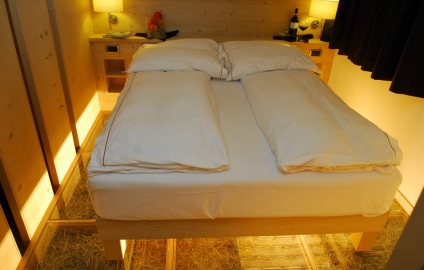 Alpen Hotel 4